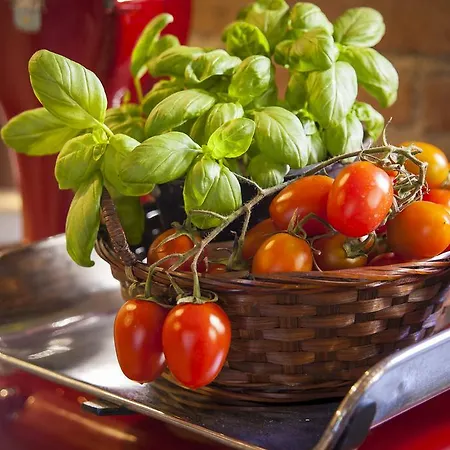 Gobbi Benelli Bed & Breakfast Corsanico-Bargecchia